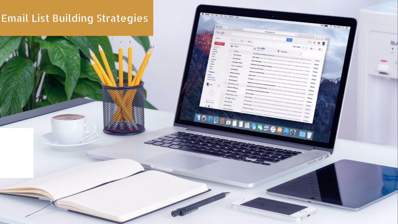 Email List Building Strategies