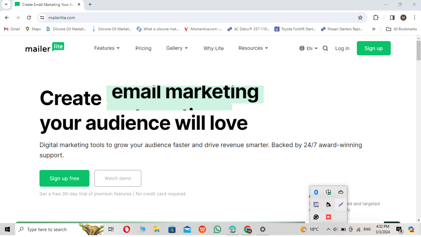 MailerLite email marketing platform